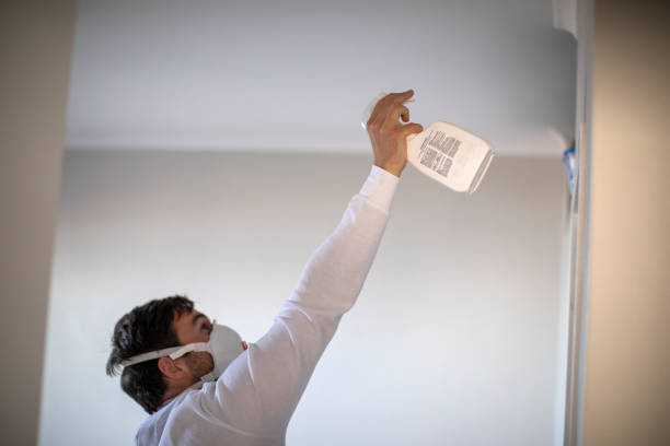 Best Attic Mold Removal  in Murrysville, PA
